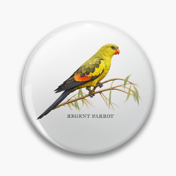 Item preview, Regent Parrot designed and sold by Outback Geo Adventures.