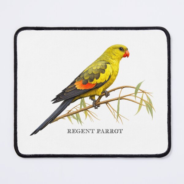 Item preview, Regent Parrot designed and sold by Outback Geo Adventures.