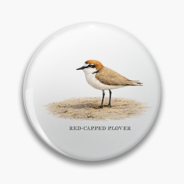 Item preview, Red-capped Plover designed and sold by Outback Geo Adventures.