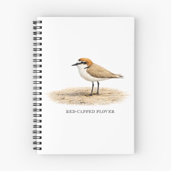 Item preview, Red-capped Plover designed and sold by Outback Geo Adventures.