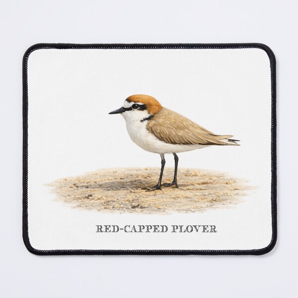 Item preview, Red-capped Plover designed and sold by Outback Geo Adventures.