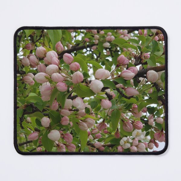 Item preview, Malus Evereste Buds designed and sold by OfficialWestArt.