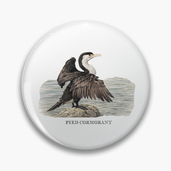 Item preview, Pied Cormorant designed and sold by Outback Geo Adventures.