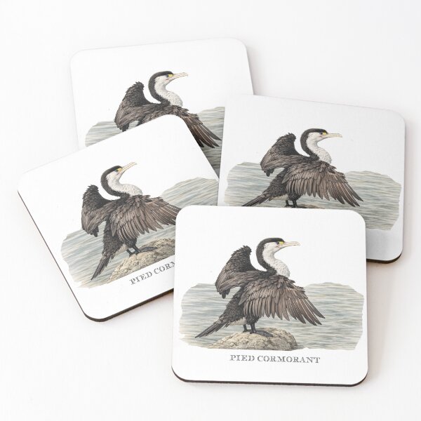 Item preview, Pied Cormorant designed and sold by Outback Geo Adventures.