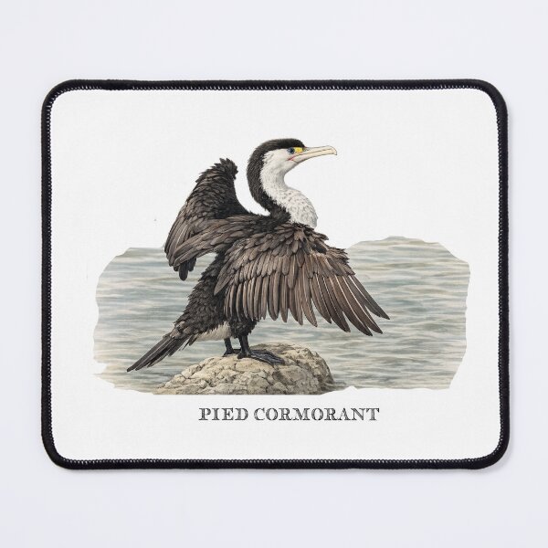 Item preview, Pied Cormorant designed and sold by Outback Geo Adventures.