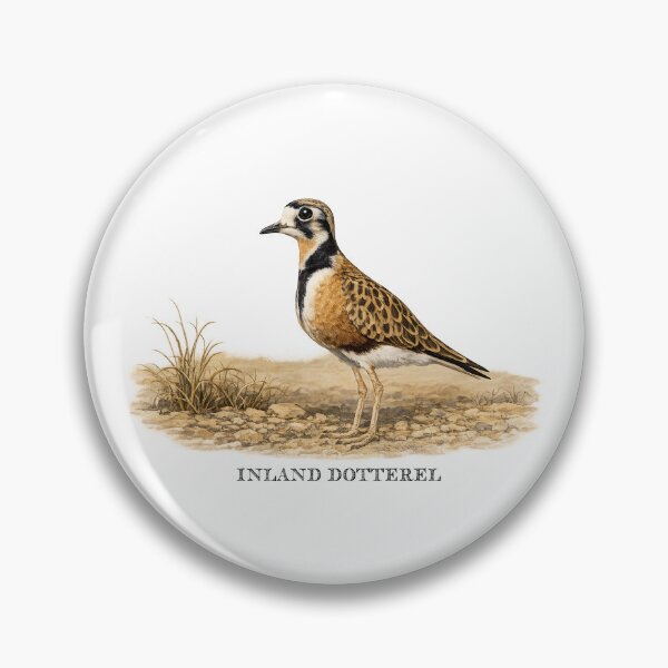 Item preview, Inland Dotterel designed and sold by Outback Geo Adventures.