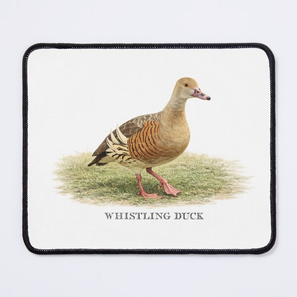 Item preview, Whistling Duck designed and sold by Outback Geo Adventures.