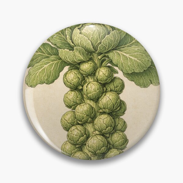 Item preview, Vintage Brussels Sprouts Botanical Print - Brassica Oleracea Kitchen Wall Art designed and sold by Darlin8888.