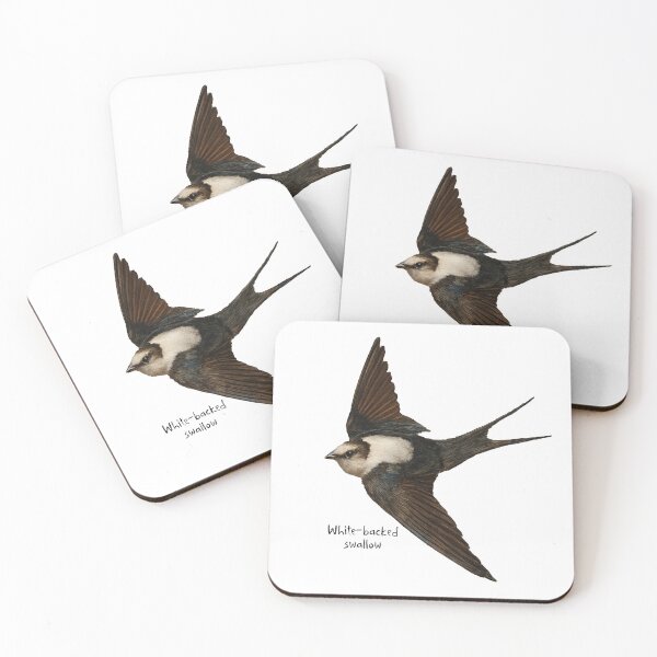 Item preview, White-backed swallow  designed and sold by Outback Geo Adventures.