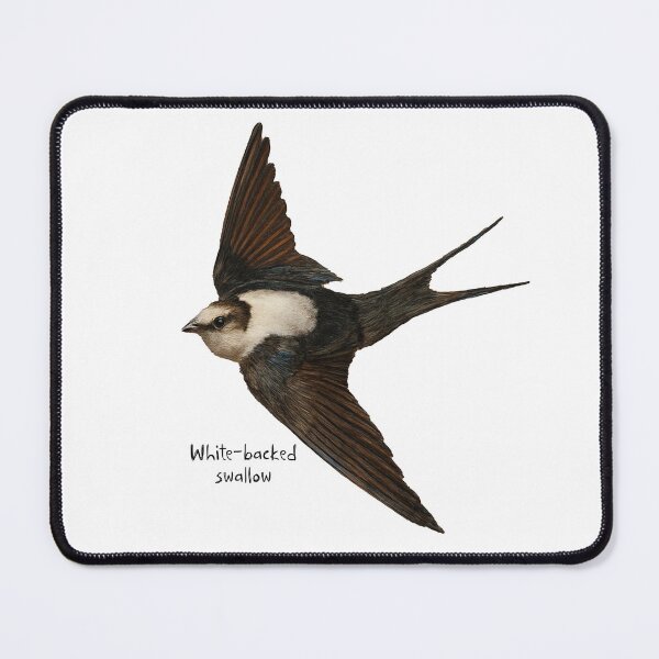 Item preview, White-backed swallow  designed and sold by Outback Geo Adventures.