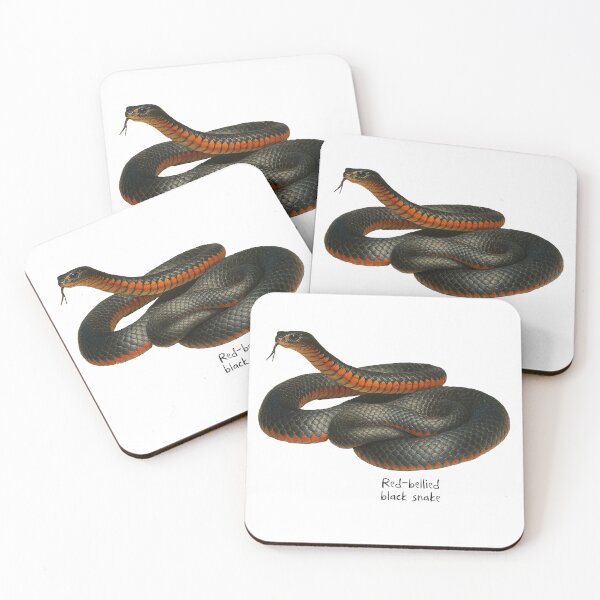 Item preview, Red-bellied black snake designed and sold by Outback Geo Adventures.