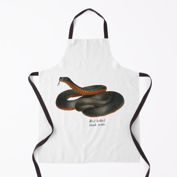 Item preview, Red-bellied black snake designed and sold by Outback Geo Adventures.