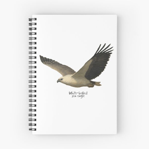 Item preview, White-bellied sea eagle  designed and sold by Outback Geo Adventures.