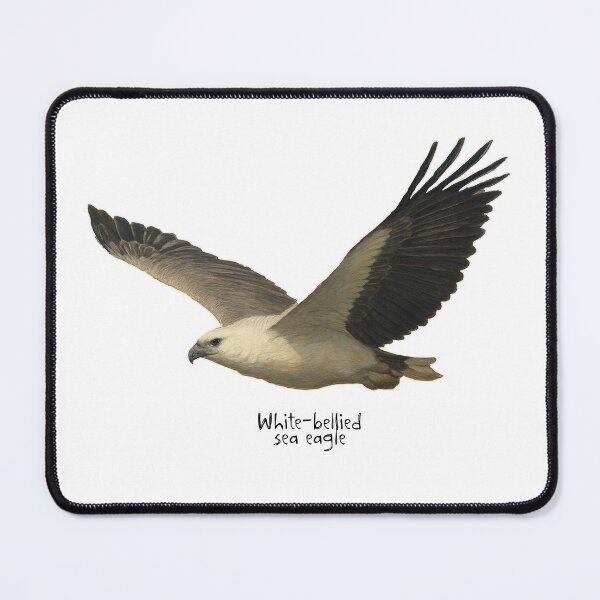Item preview, White-bellied sea eagle  designed and sold by Outback Geo Adventures.