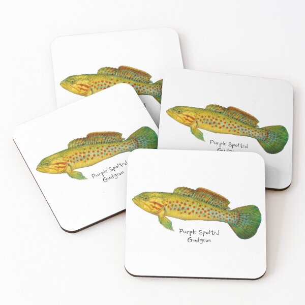 Item preview, Purple Spotted Gudgeon designed and sold by Outback Geo Adventures.