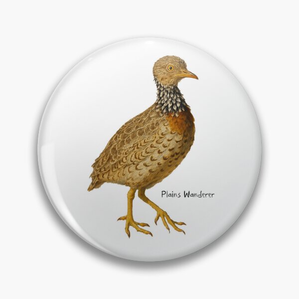 Item preview, Plains Wanderer designed and sold by Outback Geo Adventures.