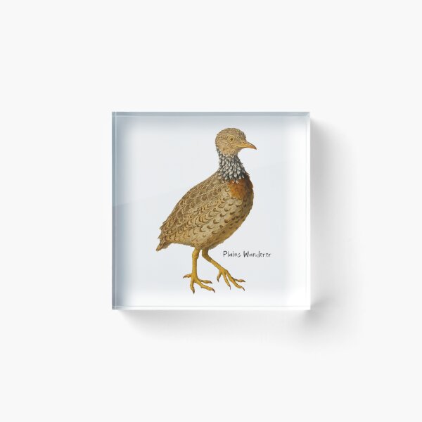 Item preview, Plains Wanderer designed and sold by Outback Geo Adventures.