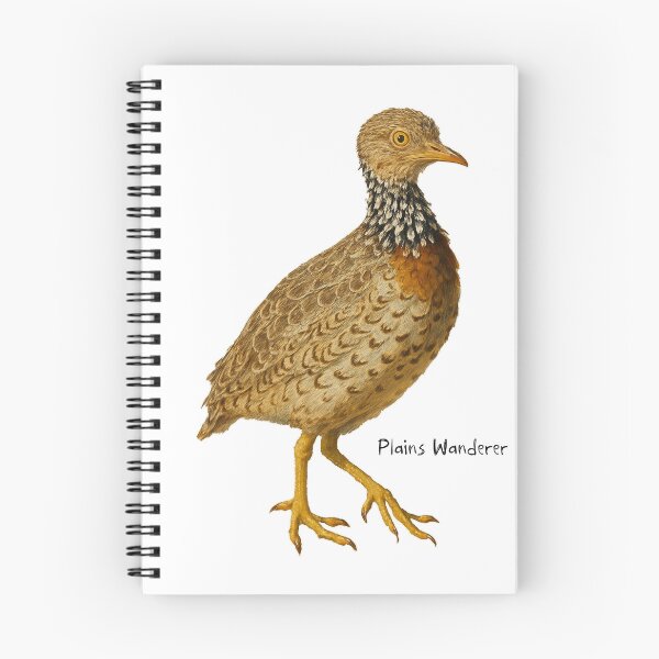 Item preview, Plains Wanderer designed and sold by Outback Geo Adventures.