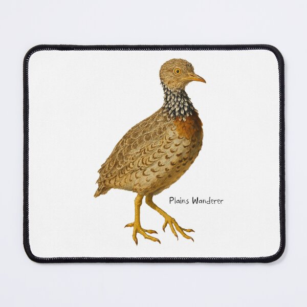 Item preview, Plains Wanderer designed and sold by Outback Geo Adventures.