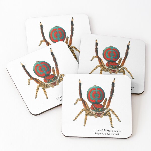Item preview, Lettered Peacock Spider  designed and sold by Outback Geo Adventures.