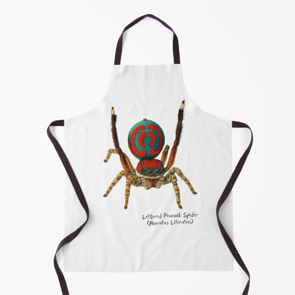 Item preview, Lettered Peacock Spider designed and sold by Outback Geo Adventures.