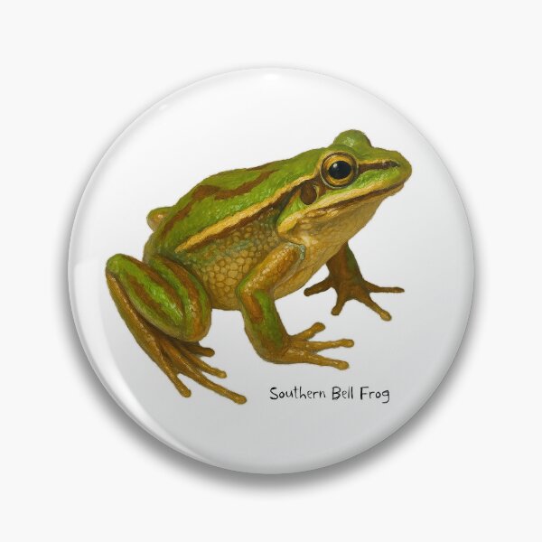 Aperçu de l'œuvre Grenouille cloche du Sud créée et vendue par Outback Geo Adventures.