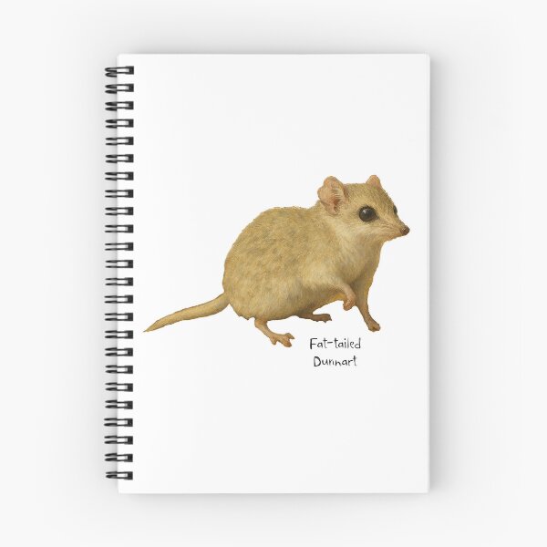 Item preview, Fat-tailed Dunnart designed and sold by Outback Geo Adventures.