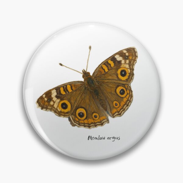 Item preview, Meadow argus  designed and sold by Outback Geo Adventures.