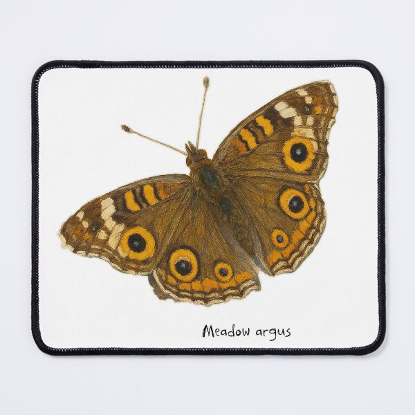 Item preview, Meadow argus designed and sold by Outback Geo Adventures.