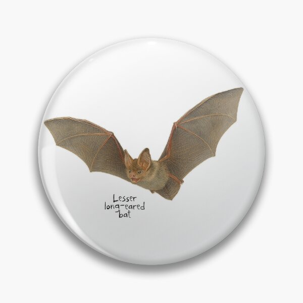 Item preview, Lesser long-eared bat  designed and sold by Outback Geo Adventures.