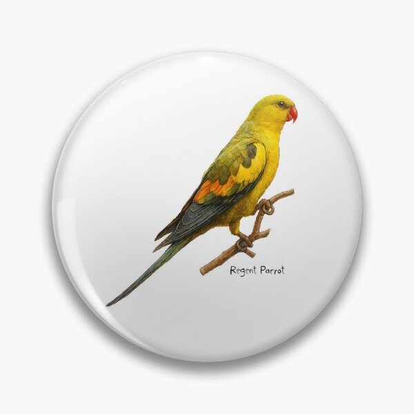 Item preview, Regent Parrot designed and sold by Outback Geo Adventures.