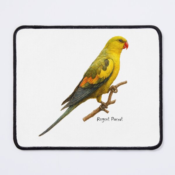 Item preview, Regent Parrot designed and sold by Outback Geo Adventures.