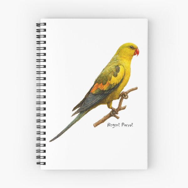 Item preview, Regent Parrot designed and sold by Outback Geo Adventures.