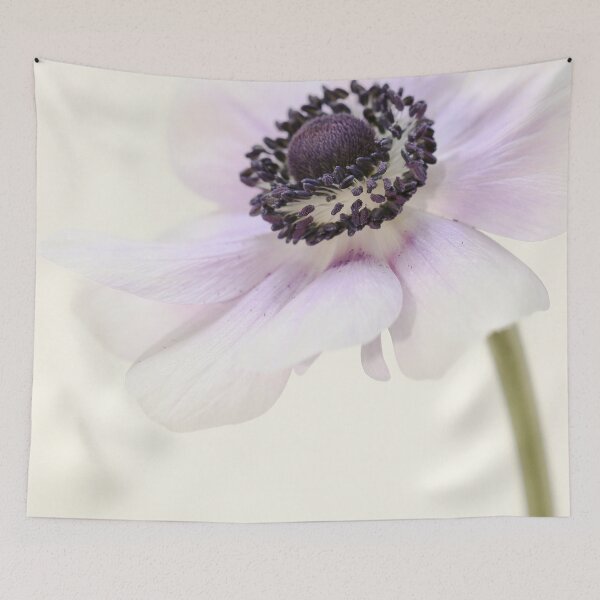 Item preview, Pastel Anemone designed and sold by AlysonFennell.