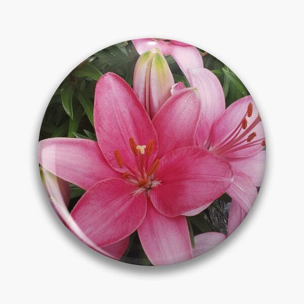Item preview, Asiatic Lily designed and sold by OfficialWestArt.