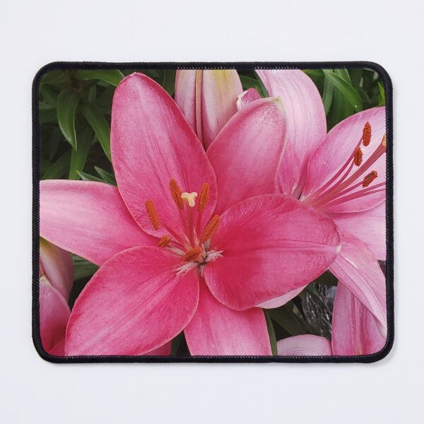Item preview, Asiatic Lily designed and sold by OfficialWestArt.