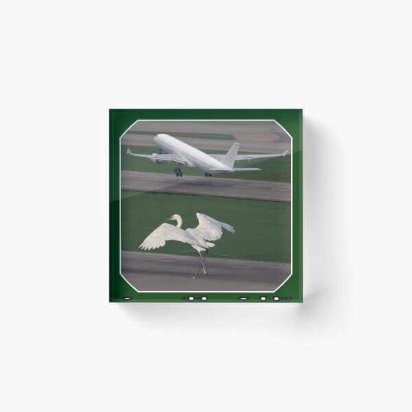 Item preview, Never lose your competitive spirit - picture with a crane competing with a plane designed and sold by PunArtistry.