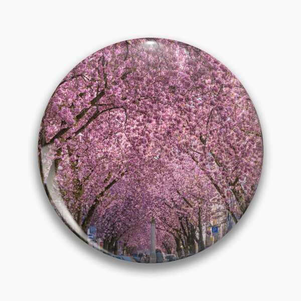 Item preview, Cherry blossoms in Bonn, Germany designed and sold by Michael Abid.