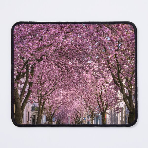 Item preview, Cherry blossoms in Bonn, Germany designed and sold by Michael Abid.