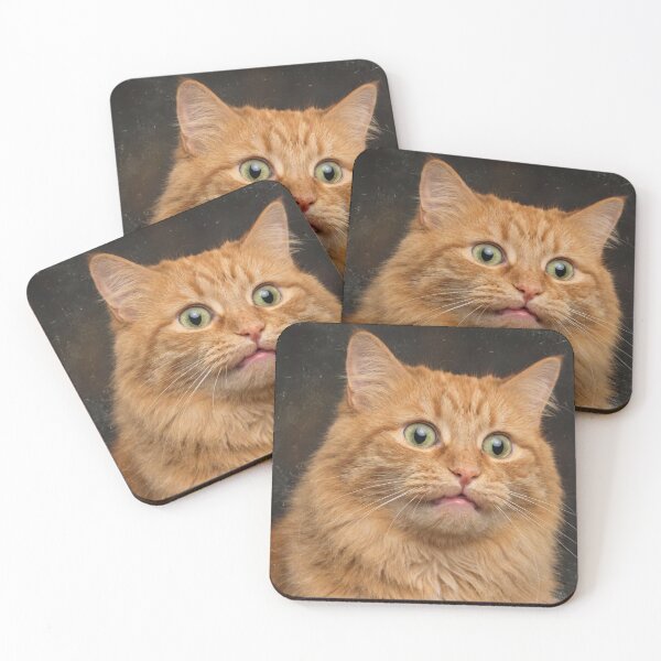 Item preview, Wait... What?! - Shocked and Derpy Fluffy Orange Cat designed and sold by Darkifun.
