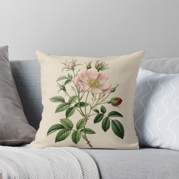 Item preview, Rosa Canina Botanical Plate – Vintage Museum Rose  Art designed and sold by zaina.sho.