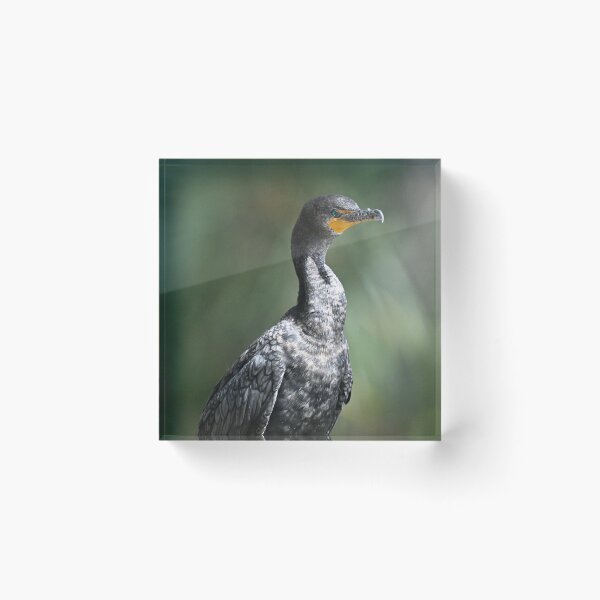 Item preview, Proud Poser designed and sold by Glennphotos.