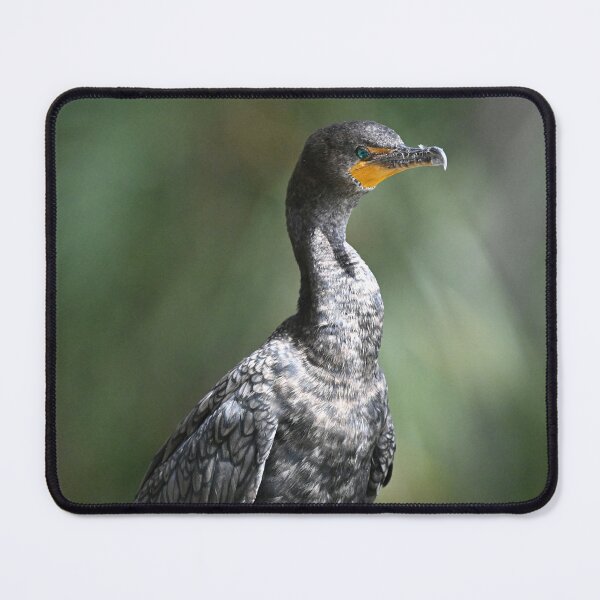 Item preview, Proud Poser designed and sold by Glennphotos.