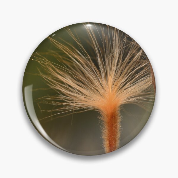 Item preview, Nerium Oleander Seed Macro Detail designed and sold by Goiko7Margarita.