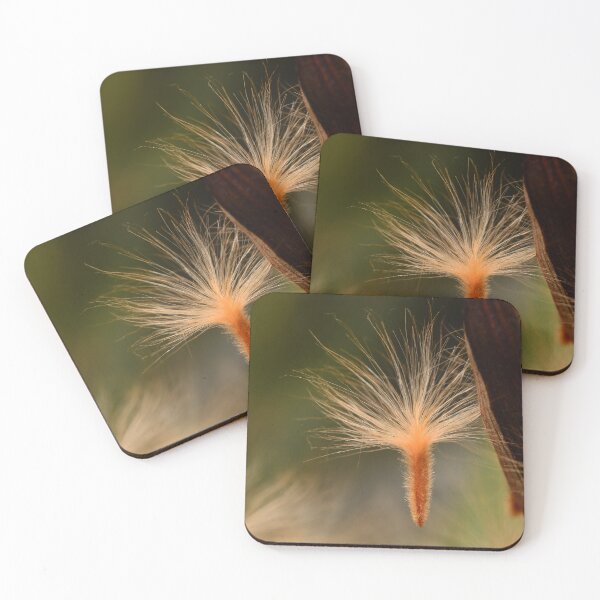 Item preview, Nerium Oleander Seed Macro Detail designed and sold by Goiko7Margarita.