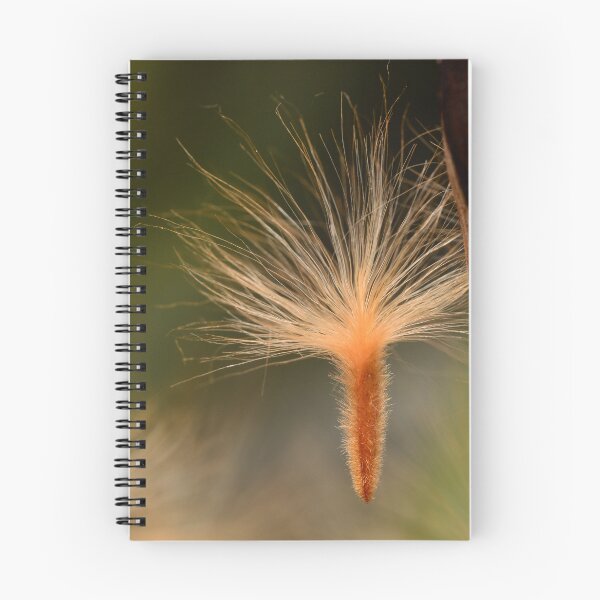 Item preview, Nerium Oleander Seed Macro Detail designed and sold by Goiko7Margarita.