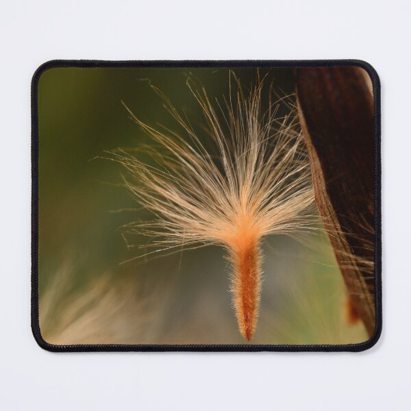 Item preview, Nerium Oleander Seed Macro Detail designed and sold by Goiko7Margarita.