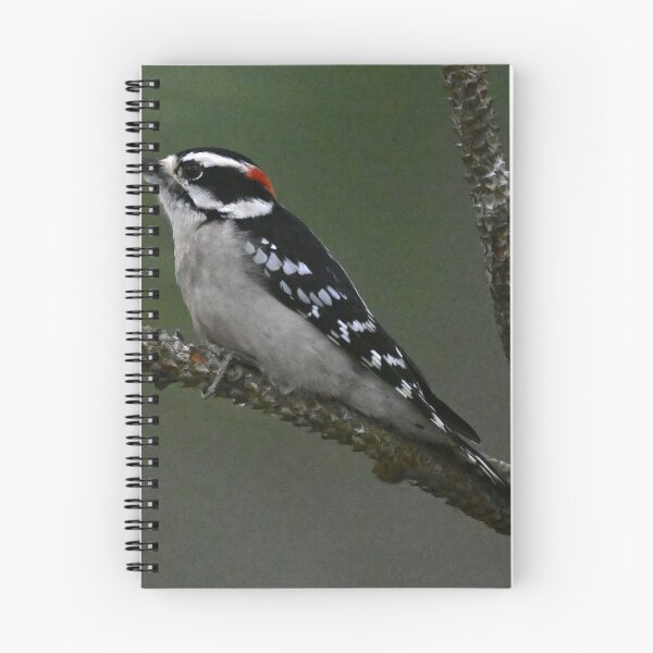 Item preview, Downy  designed and sold by Glennphotos.
