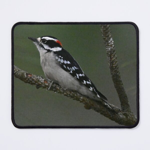 Item preview, Downy designed and sold by Glennphotos.