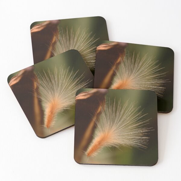 Item preview, Oleander Seed Silky Macro Closeup designed and sold by Goiko7Margarita.